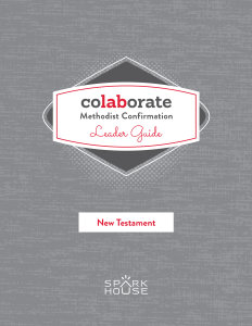 Colaborate: Methodist Confirmation / Leader Guide / New Testament