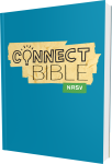 Connect Bible NRSV Paperback