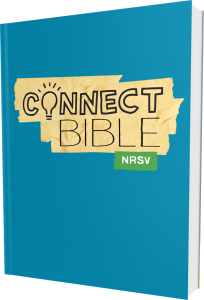 Connect Bible NRSV Paperback