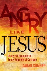 Angry Like Jesus: Using His Example to Spark Your Moral Courage