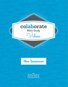 Colaborate: Bible Study / DVD / New Testament