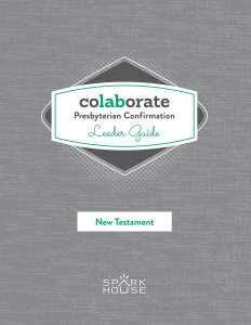 Colaborate: Presbyterian Confirmation / Leader Guide / New Testament